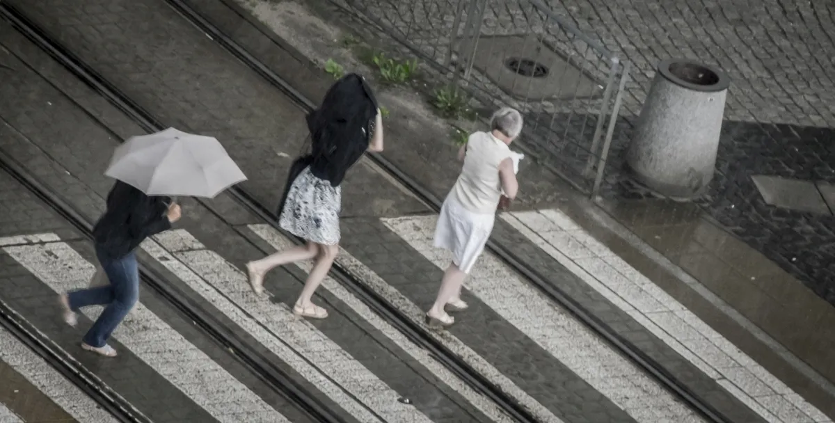 Three pedestrians crossing tracks with white and black umbrellas